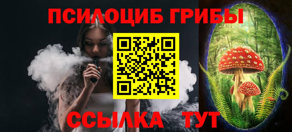 Славгород  Псилоцибиновые грибы Magic Shrooms  Вход с VPN 