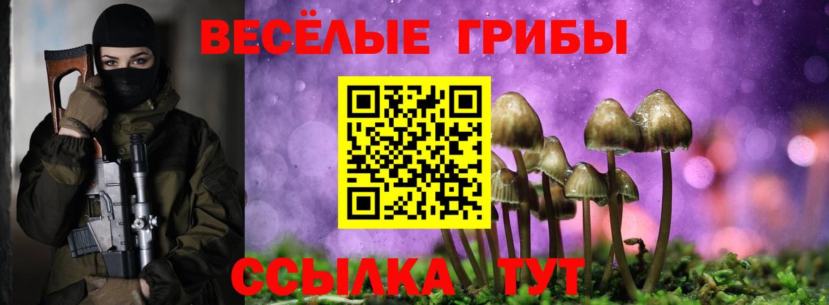 Псилоцибиновые грибы GOLDEN TEACHER Славгород